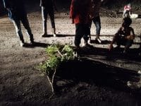 Pekerja dan warga berkumpul di lokasi tewasnya Repli Anggi Kabusti setelah tertabrak truk bermuatan batubara di di Desa Dirung Pundu, Kecamatan Laung Tuhup, Kabupaten Murung Raya, Kalimantan Tengah, pada Selasa (6/8/2024) malam.