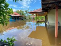 Walhi - Banjir