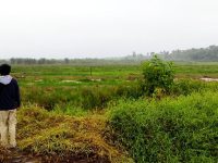 Proyek Lumbung Pangan