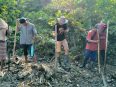 Proyek Lumbung Pangan