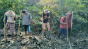 Proyek Lumbung Pangan