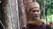 Kearifan lokal Dayak Tomun
