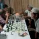 Club Catur Kuda Terbang