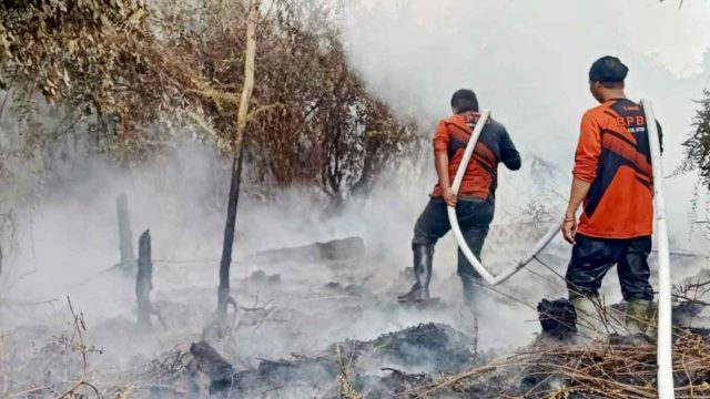 Foto petugas BPBD sedang memadamkan kebakaran lahan di Kotawaringin Timur.
