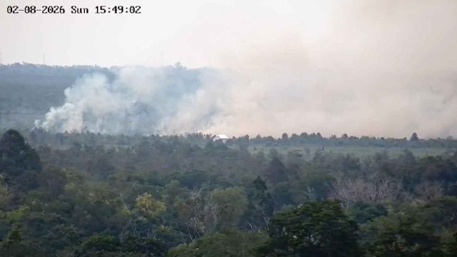 Asap tebal membumbung dari area hutan yang diduga terbakar di Km 17 Jalan Tjilik Riwut, Palangka Raya, Senin (09/02/2026), terlihat dari pemantauan udara. (Sumber: Dinas Kehutanan Kalimantan Tengah)