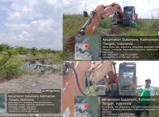 Foto kolase hasil investigasi memperlihatkan alat berat ekskavator dan area perkebunan sawit di lokasi dugaan pembukaan lahan kawasan hutan Kecamatan Sukamara, Kalimantan Tengah.