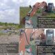 Foto kolase hasil investigasi memperlihatkan alat berat ekskavator dan area perkebunan sawit di lokasi dugaan pembukaan lahan kawasan hutan Kecamatan Sukamara, Kalimantan Tengah.