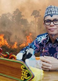 Foto Wakil Ketua II Komisi I DPRD Kota Palangka Raya Syaufwan Hadi dengan latar kebakaran hutan dan lahan di Palangka Raya.