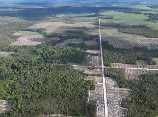 Foto udara pembukaan hutan untuk pembangunan jalan dan kebun di konsesi PT Industrial Forest Plantation (IFP) di wilayah DAS Kapuas, Kalimantan Tengah.