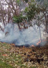 Foto kebakaran lahan terjadi di kawasan Jalan Mahir Mahar, Kota Palangka Raya.