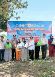 Foto Bupati Kapuas mengikuti panen jagung bersama warga di Desa Sei Asam.