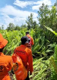 Foto tim SAR gabungan melakukan pencarian korban hilang di kawasan hutan Habaring Hurung, Palangka Raya.