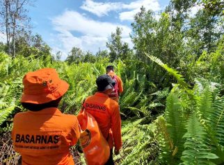 Foto tim SAR gabungan melakukan pencarian korban hilang di kawasan hutan Habaring Hurung, Palangka Raya.