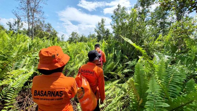 Foto tim SAR gabungan melakukan pencarian korban hilang di kawasan hutan Habaring Hurung, Palangka Raya.