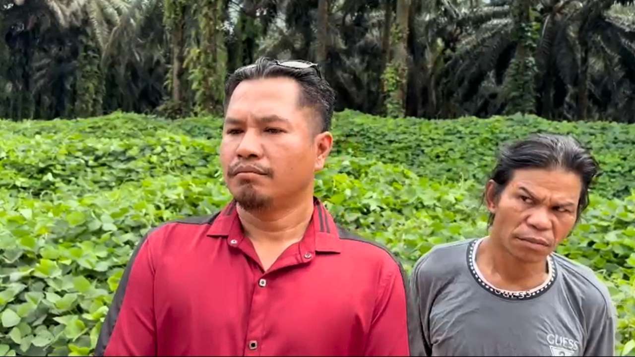 Foto Panji Irawan berdiri di areal kebun sawit yang diduga milik warga di Kecamatan Seruyan Tengah