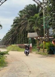 Foto gerbang masuk PT Bangun Jaya Alam Permai (BJAP) yang disita Satgas PKH di Kecamatan Seruyan Tengah, Kabupaten Seruyan.
