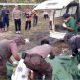 Foto petugas sedang mengevakuasi jenazah korban di kebun sawit Mentaya Hulu