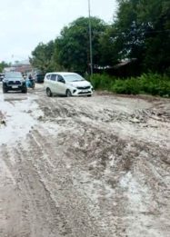 Foto kondisi jalan nasional rusak parah di Desa Timpah, Kabupaten Kapuas, Kalimantan Tengah