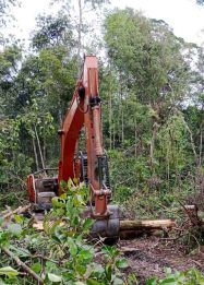 Foto alat berat sedang membuka kawasan Hutan Produksi Konversi untuk perkebunan kelapa sawit di Kabupaten Sukamara, Kalimantan Tengah