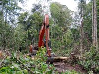 Foto alat berat sedang membuka kawasan Hutan Produksi Konversi untuk perkebunan kelapa sawit di Kabupaten Sukamara, Kalimantan Tengah