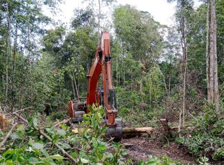 Foto alat berat sedang membuka kawasan Hutan Produksi Konversi untuk perkebunan kelapa sawit di Kabupaten Sukamara, Kalimantan Tengah