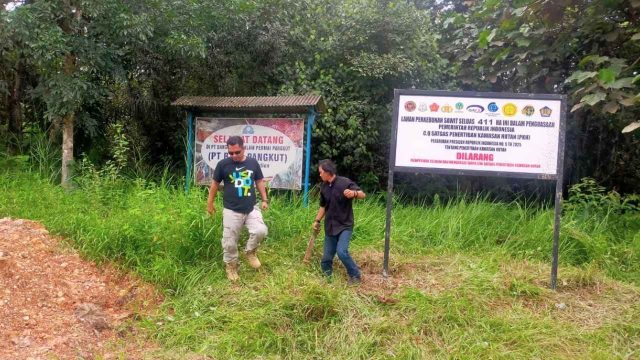 Foto plang penyitaan Satgas PKH terpasang di areal perkebunan sawit PT BJAP di Kecamatan Seruyan Tengah