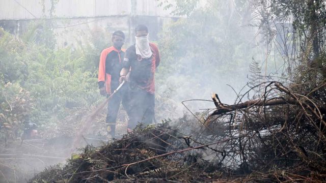 Dua petugas pemadam kebakaran memadamkan api di lahan terbakar Kota Palangka Raya, Kalimantan Tengah