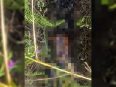 Foto petugas sedang melakukan olah tempat kejadian perkara di hutan Kereng Bangkirai, Palangka Raya.