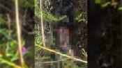 Foto petugas sedang melakukan olah tempat kejadian perkara di hutan Kereng Bangkirai, Palangka Raya.