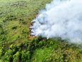 Petugas tim gabungan melakukan pemadaman kebakaran hutan dan lahan gambut menggunakan selang air di kawasan Palangka Raya.