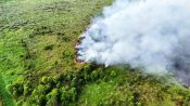 Petugas tim gabungan melakukan pemadaman kebakaran hutan dan lahan gambut menggunakan selang air di kawasan Palangka Raya.