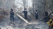 Tiga petugas BPBD menyemprotkan air ke lahan gambut yang terbakar di Tumbang Nusa