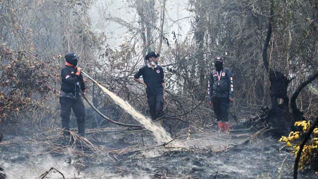 Tiga petugas BPBD menyemprotkan air ke lahan gambut yang terbakar di Tumbang Nusa