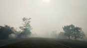 Aktivitas masyarakat di tengah dampak krisis lingkungan dan energi di Kalimantan Tengah.