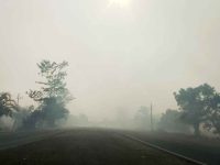 Aktivitas masyarakat di tengah dampak krisis lingkungan dan energi di Kalimantan Tengah.