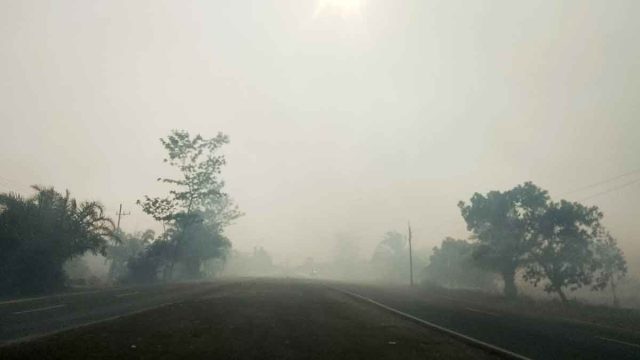 Aktivitas masyarakat di tengah dampak krisis lingkungan dan energi di Kalimantan Tengah.