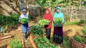 Britania Sari bersama ibu-ibu tetangga mengelola kebun warga untuk penyediaan pangan.