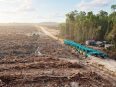 Hutan tropis yang menjadi perhatian dalam sorotan terhadap rantai pasok APRIL Group.