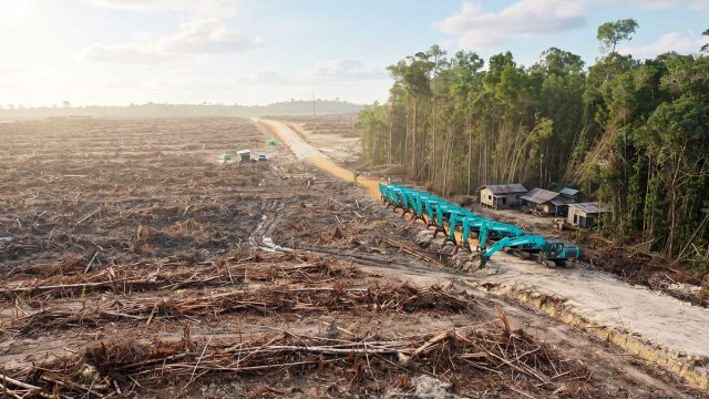 Hutan tropis yang menjadi perhatian dalam sorotan terhadap rantai pasok APRIL Group.