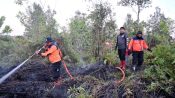 Petugas gabungan berupaya memadamkan kebakaran hutan dan lahan di Palangka Raya