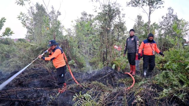 Petugas gabungan berupaya memadamkan kebakaran hutan dan lahan di Palangka Raya