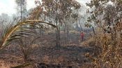 Petugas gabungan melakukan pemadaman kebakaran lahan gambut di Kumai