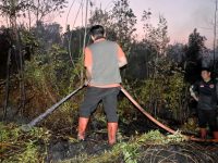 Petugas memadamkan kebakaran di lahan gambut