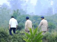 Prasetyo Hadi mendampingi Prabowo Subianto meninjau penanganan karhutla di Kubu Raya