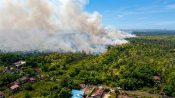 Sebaran titik panas dan dampak karhutla terhadap wilayah gambut di Indonesia.