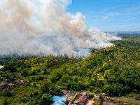 Sebaran titik panas dan dampak karhutla terhadap wilayah gambut di Indonesia.