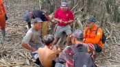Tim SAR gabungan menemukan M. Teguh di Hutan Telaga Seberang, Kabupaten Seruyan.