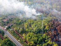 Foto udara kebakaran hutan dan lahan di kawasan yang berbatasan antara Kelurahan Kameloh Baru dan Desa Tumbang Nusa, dengan kepulan asap terlihat di sekitar lokasi.
