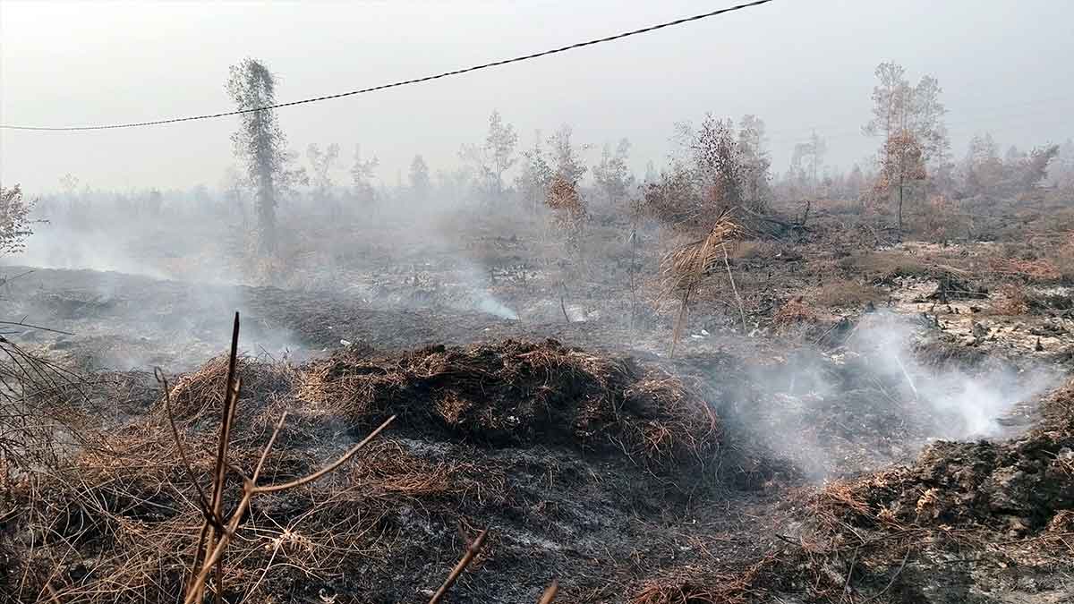 Asap mengepul dari lahan gambut yang masih terbakar di Tumbang Nusa, Jabiren Raya, Pulang Pisau, Kalimantan Tengah.