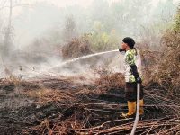 BPK Swakarsa Putra Pahandut memadamkan kebakaran lahan yang mendekati permukiman warga di Jalan Sinar Kahayan, Kereng Bangkirai, Palangka Raya